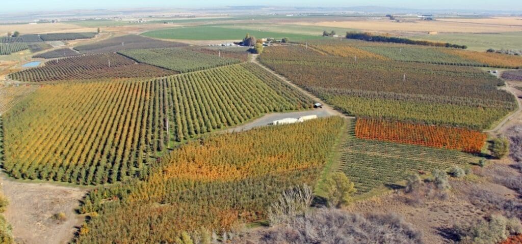 an aerial view of royal bluff orchards in royal city washington usa